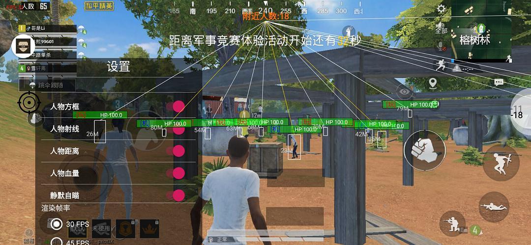 和平精英辅助【内部G简洁版】